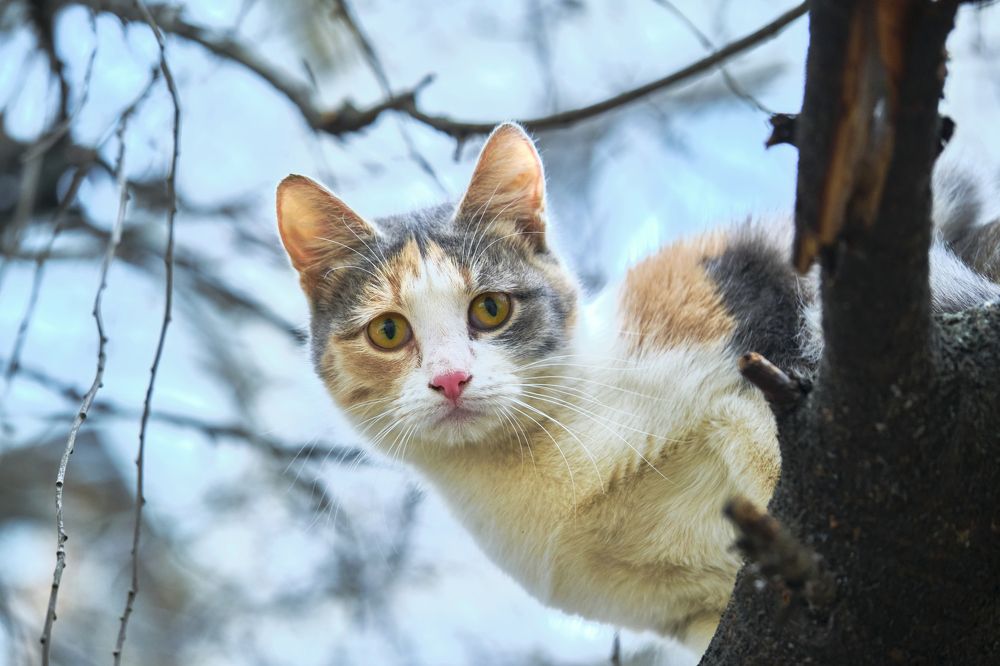 Photograph by Руслан Ибрагимов