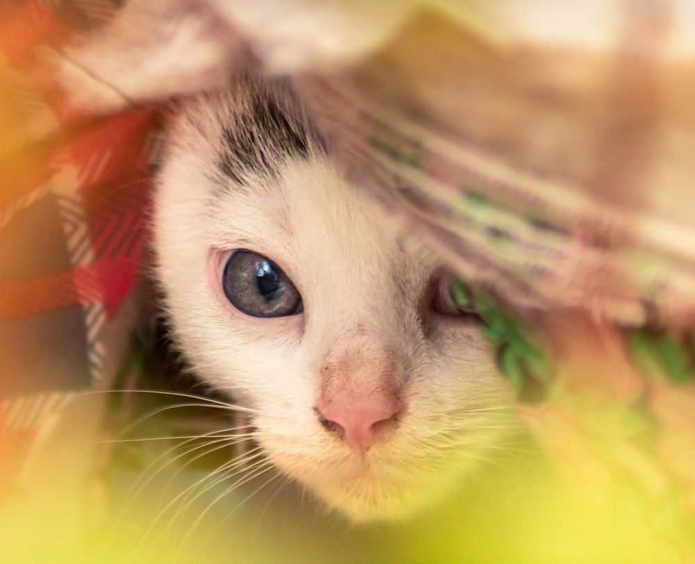 Photograph by Patryk George