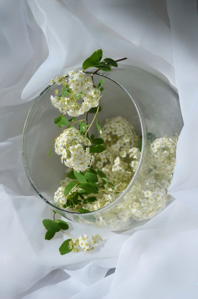 Фотография автора Евгения Илина