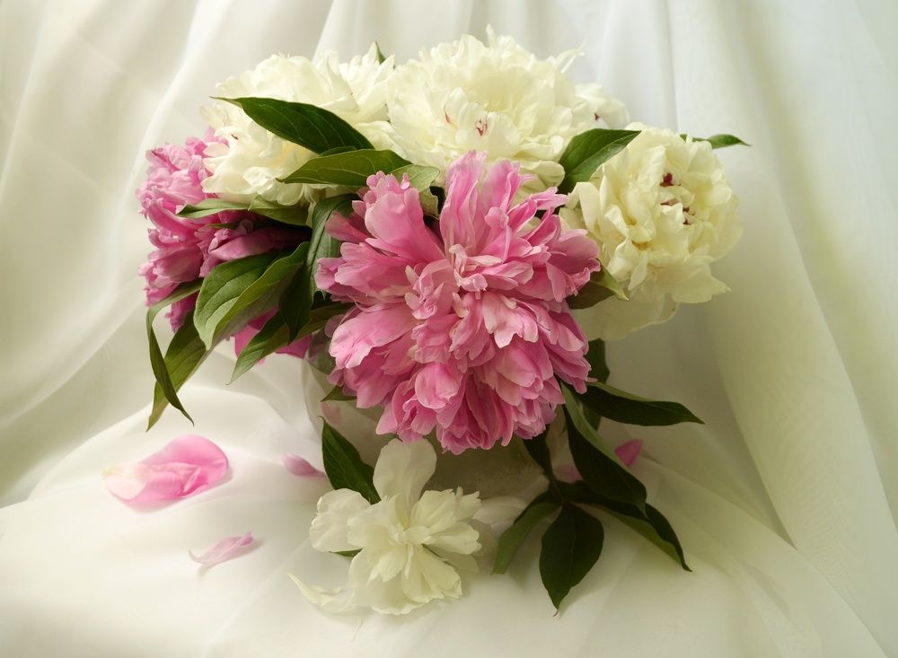 Фотография автора Евгения Илина