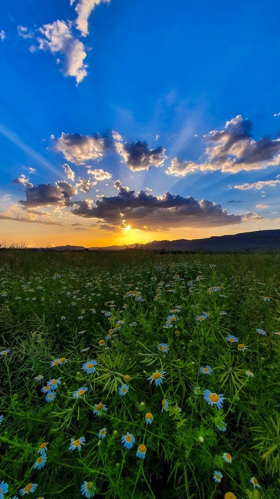 Photograph by hamidreza hadad