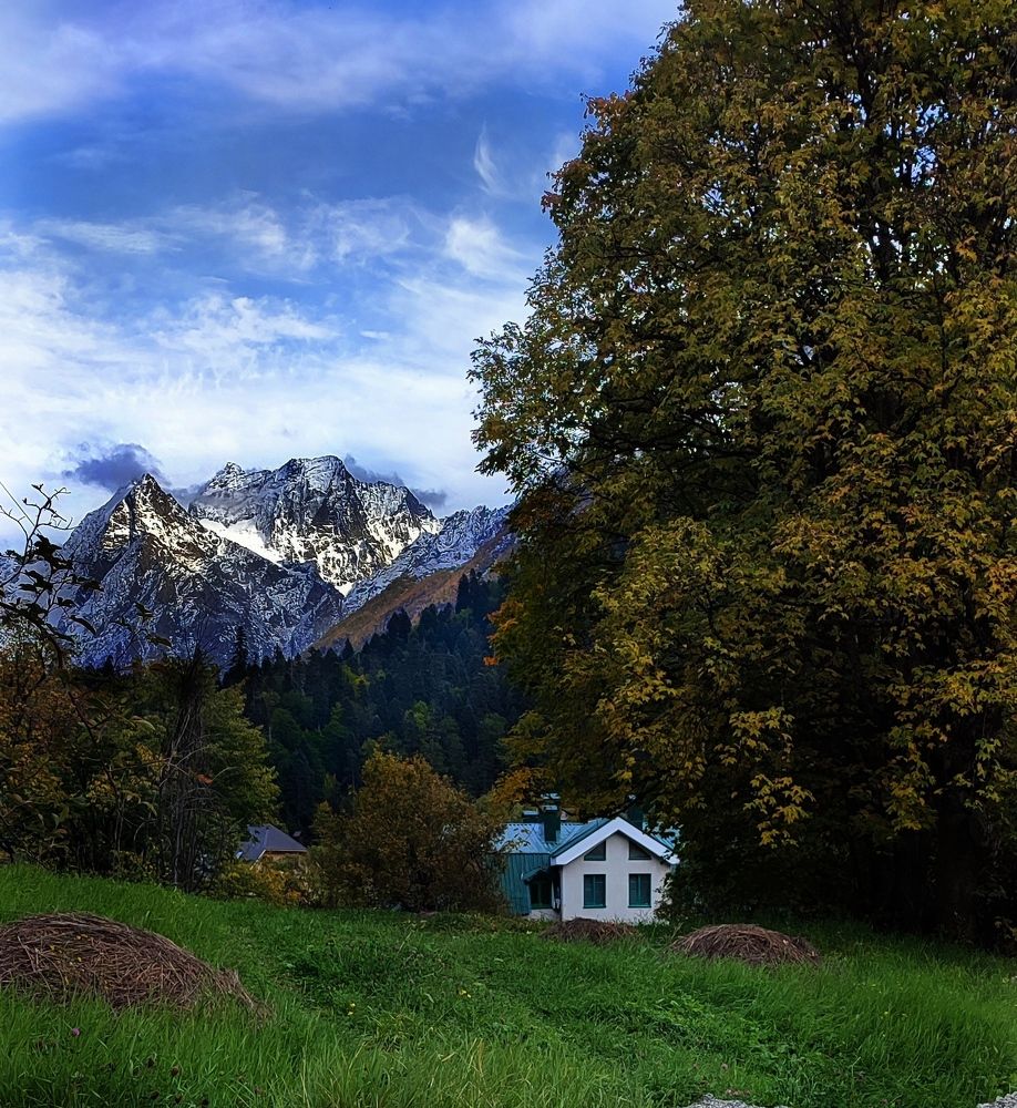 Photograph by Нина Иоселиани