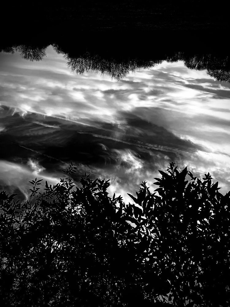 Photograph by John Blake