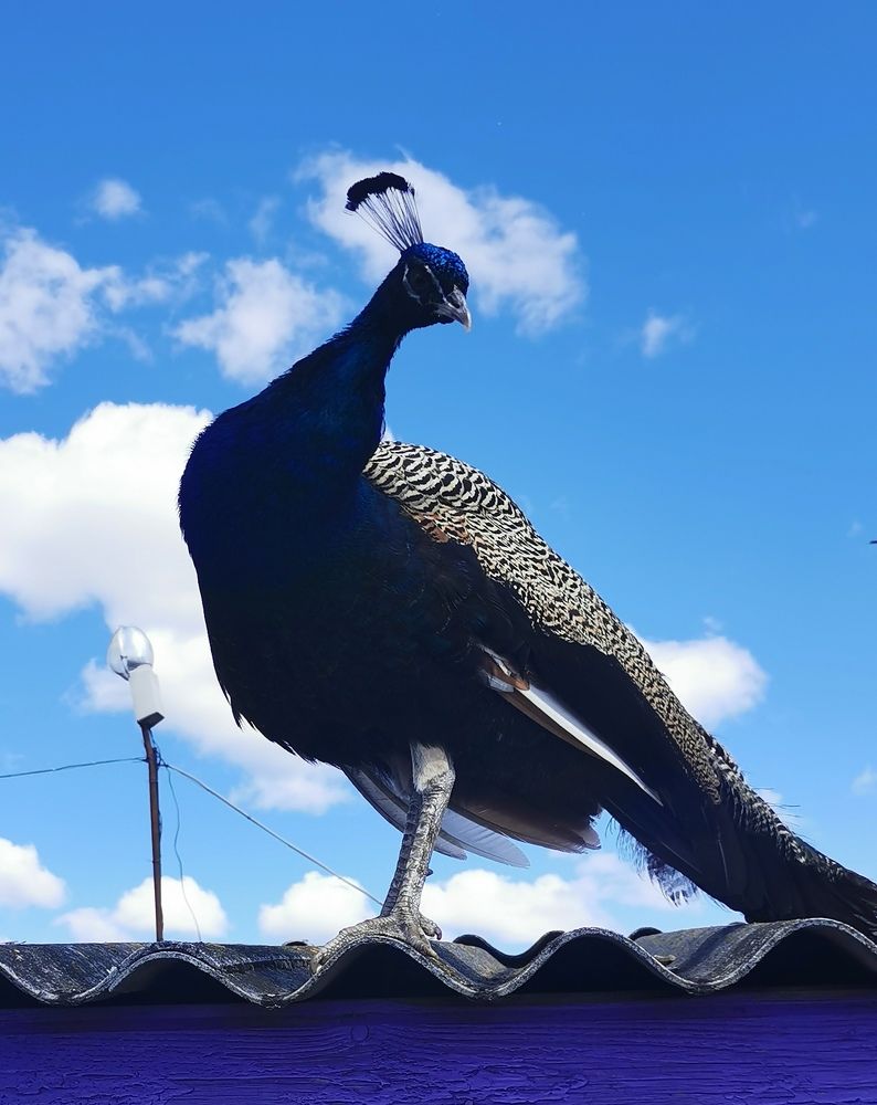 Фотография автора Ольга Матусевич