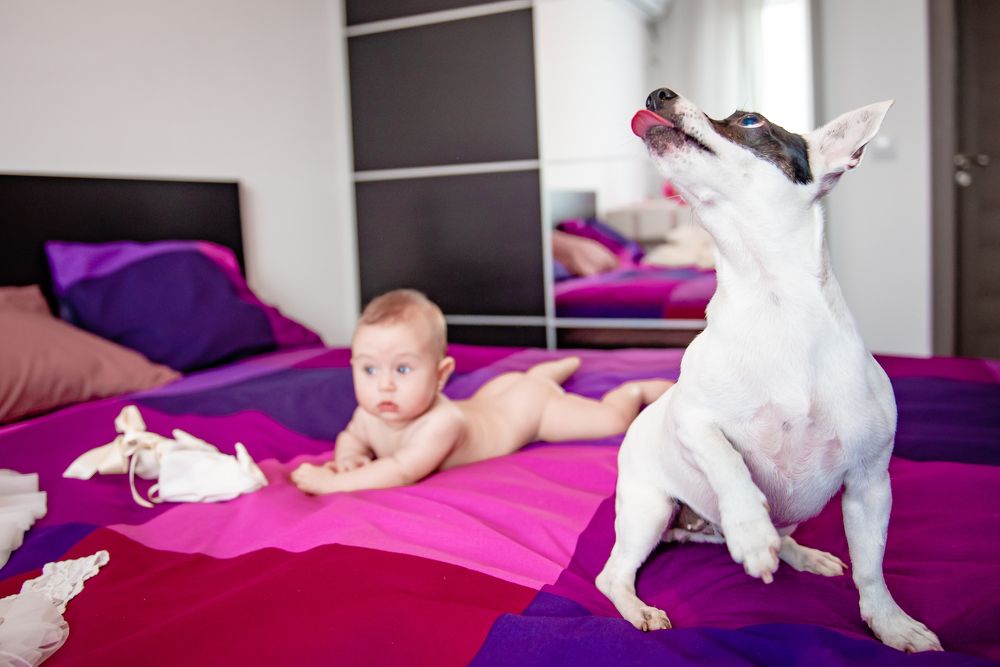 Photograph by Radu Constantinescu