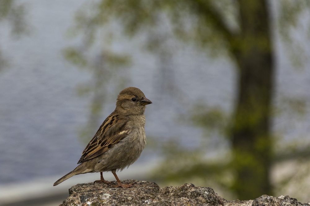 Photograph by Лилия Кондратьева