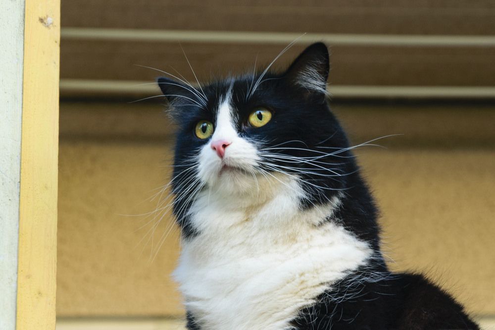 Photograph by Лилия Кондратьева