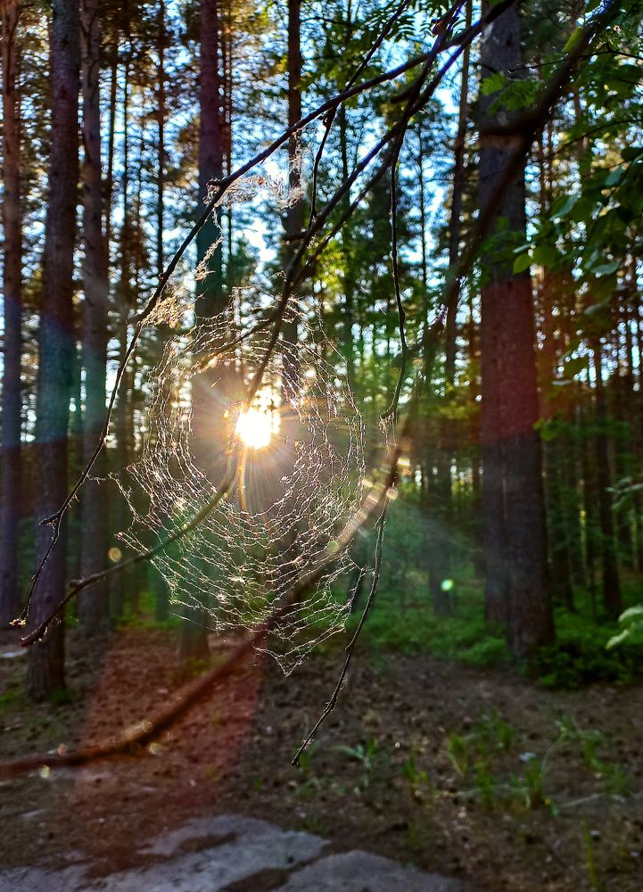 Photograph by Оксана Макарова