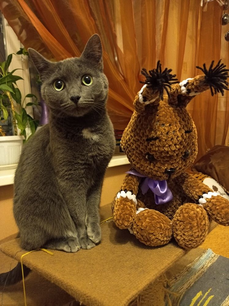 Photograph by Наталья Стальмакова