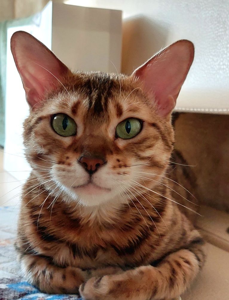 Photograph by Irina Lobko