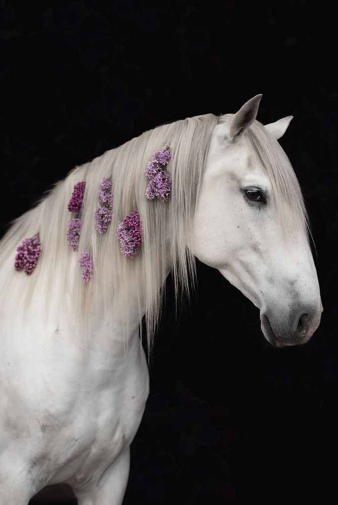 Фотография автора Ирина Пиманова