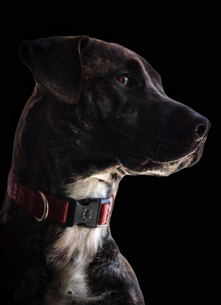 Photograph by Cindy Flick