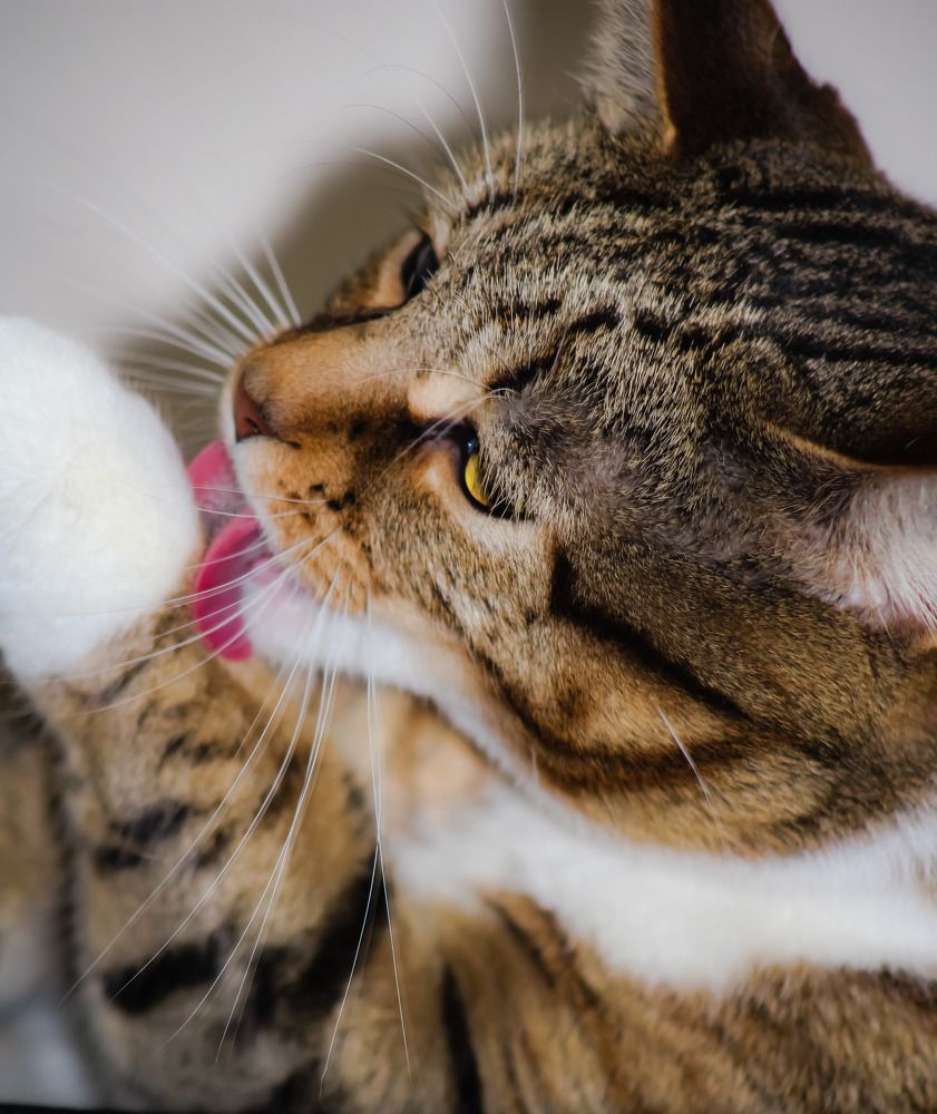 Photograph by Cindy Flick