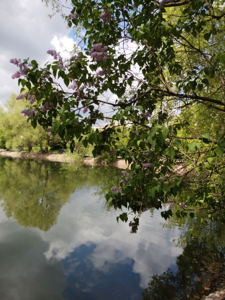 Photograph by Саманта Начкебия