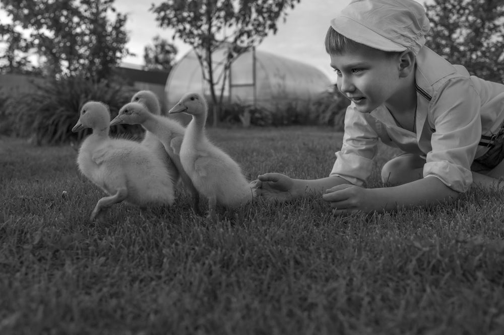 Photograph by Ольга Былина