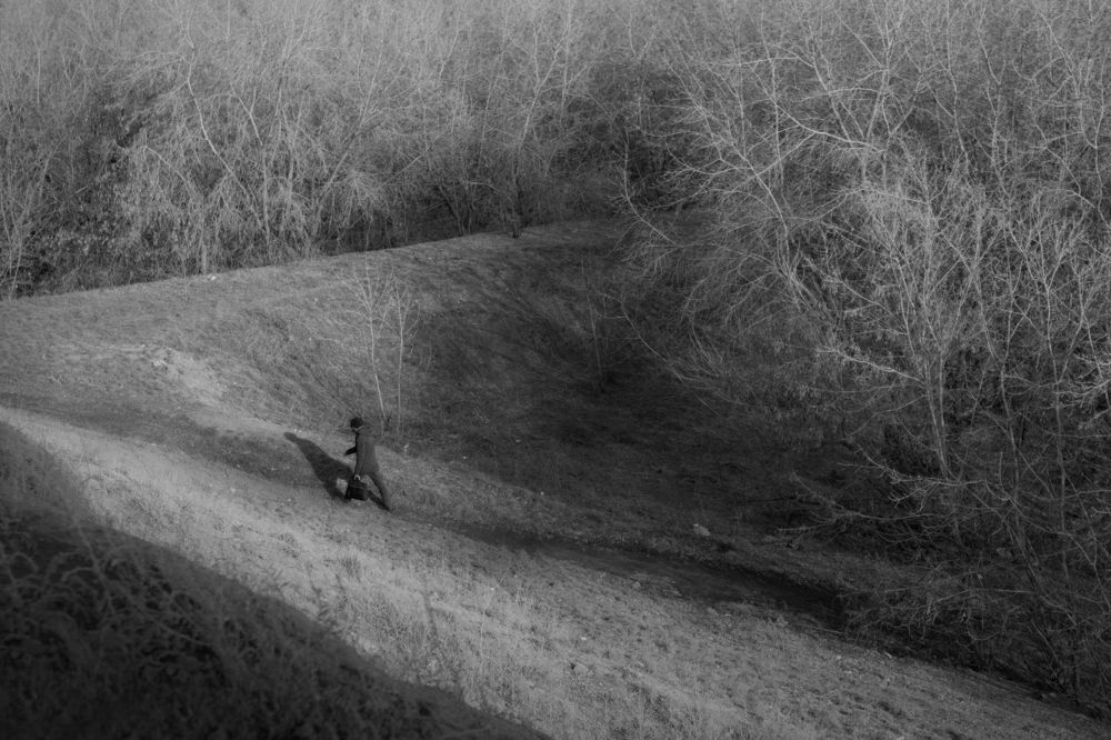 Photograph by Алексей