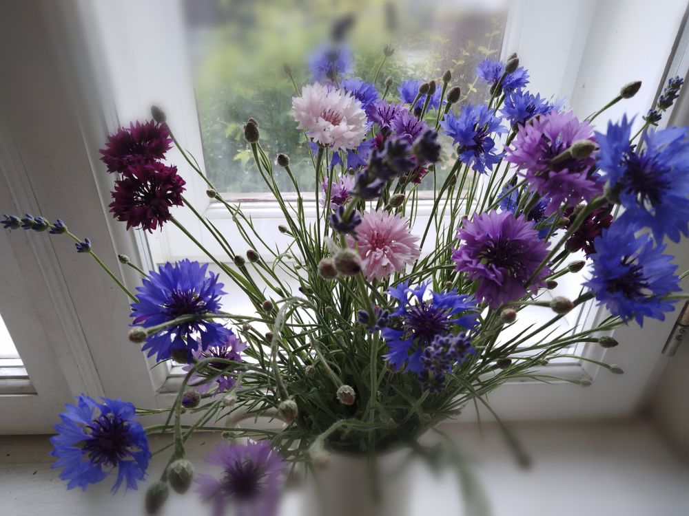 Photograph by Лилия Кондратьева