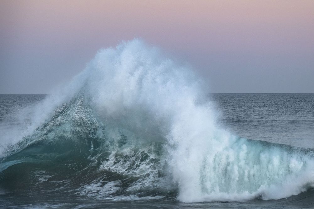 Photograph by Noe Castro