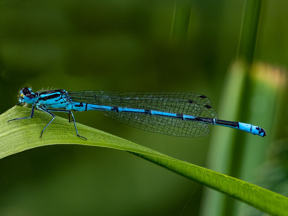 Photograph by Jesse René Cason