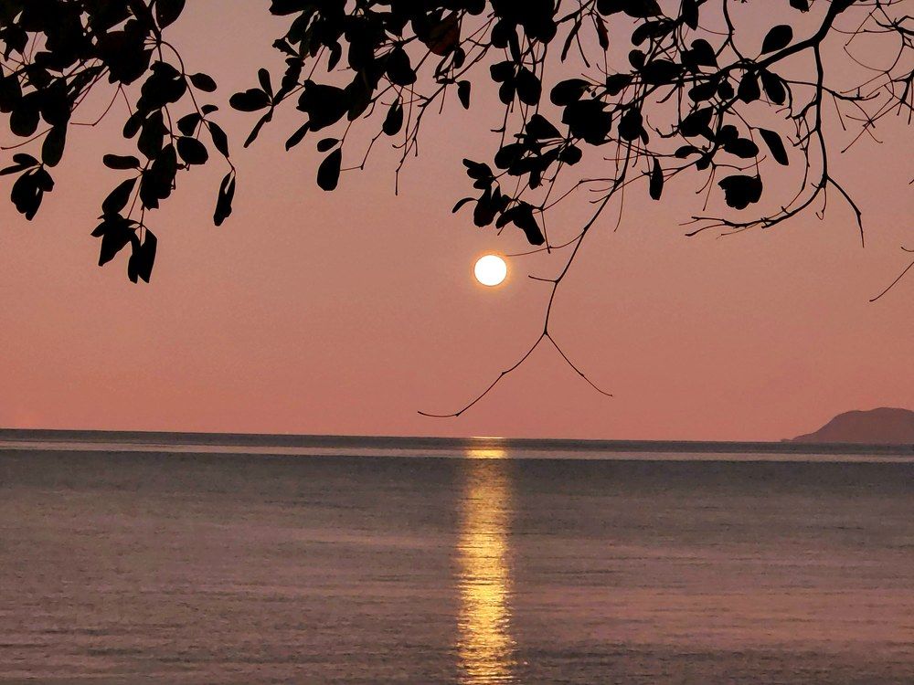 Photograph by Joseph Jennings M M