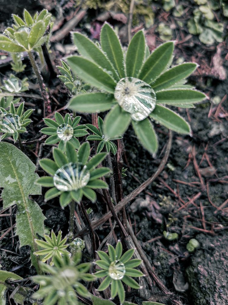 Photograph by Анна Колесниченко