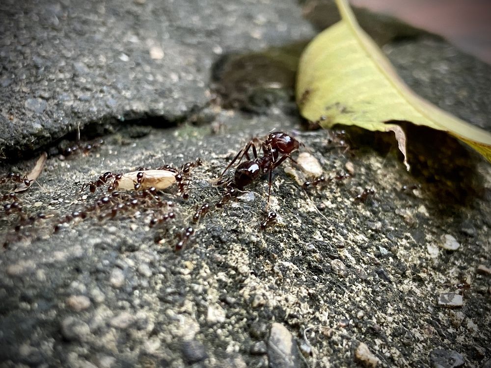 Photograph by Truong Van Tan