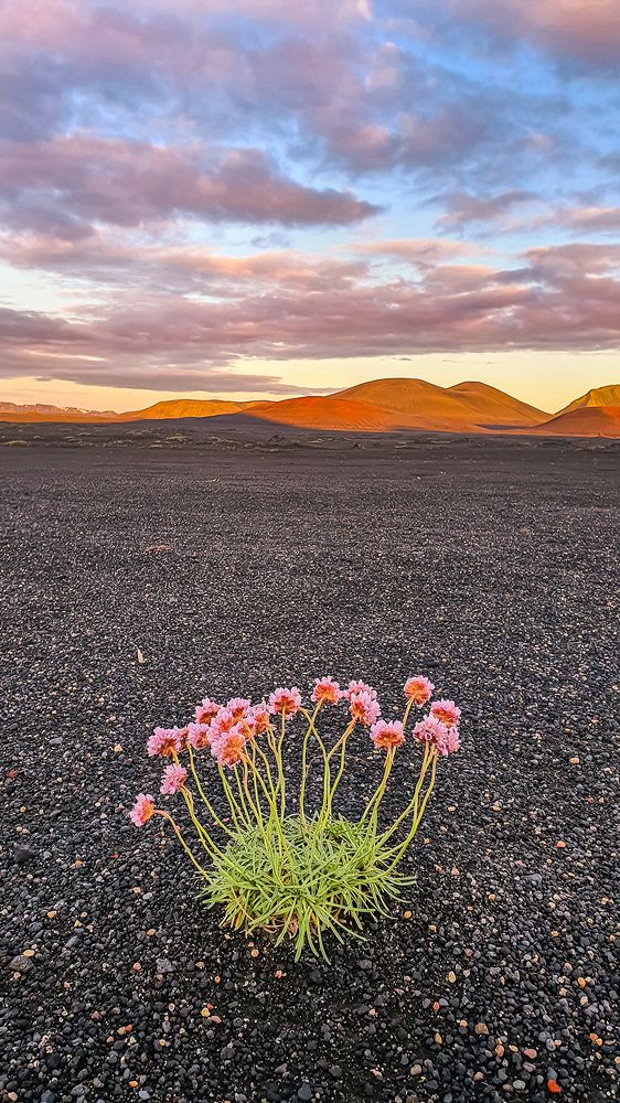 Photograph by Plamen