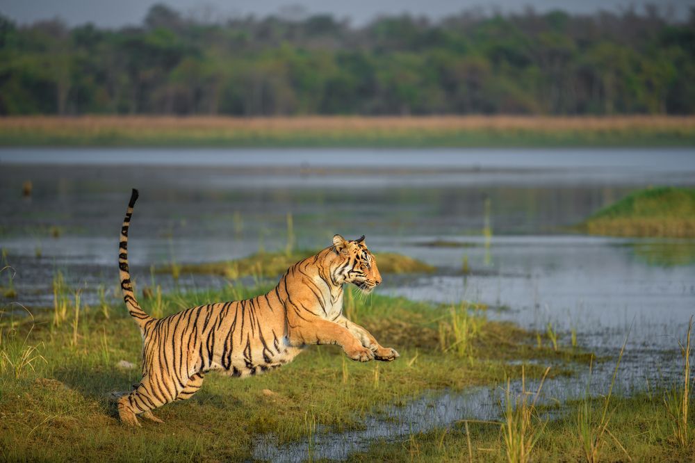 Photograph by Susavan Aditya