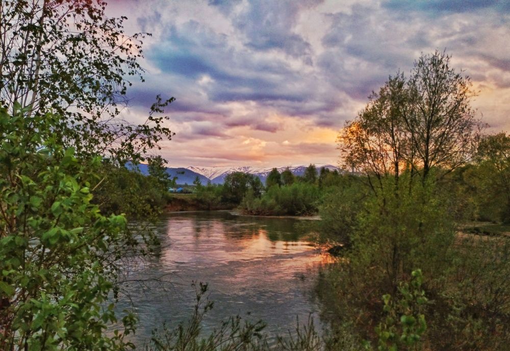 Photo #7654598