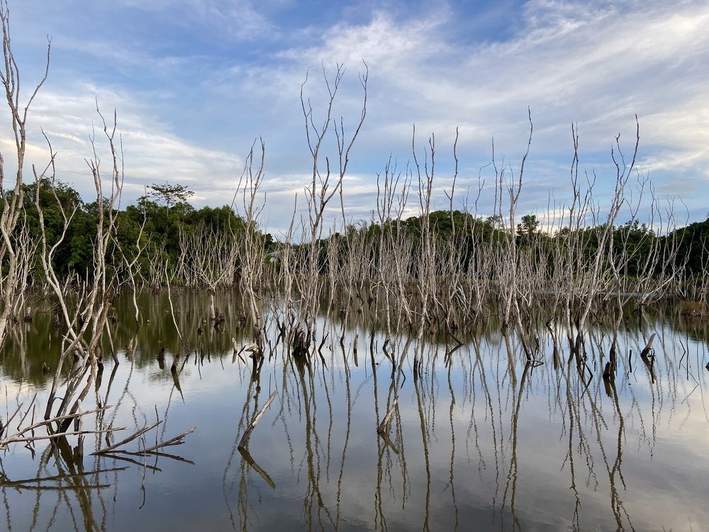 Photograph by Roslan Alias