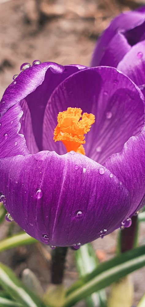 Photograph by Ажар Шайдилдинова