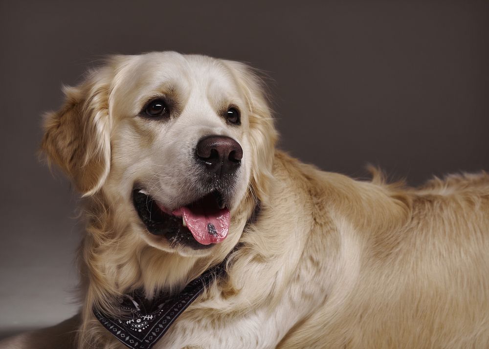 Photograph by Юлия Серова