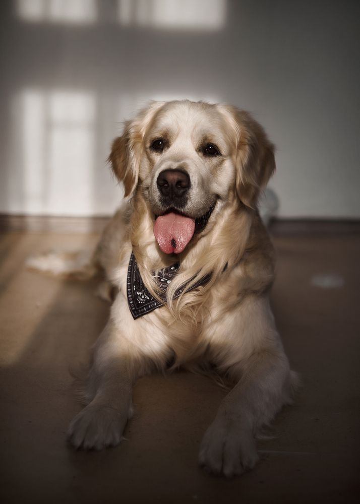 Photograph by Юлия Серова