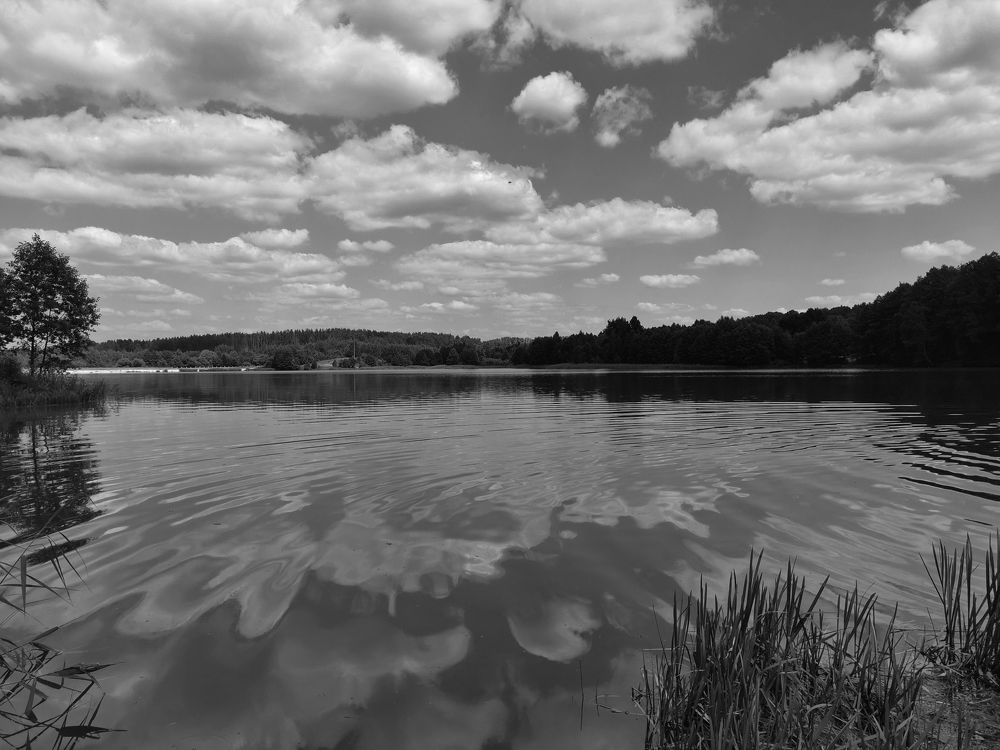 Photograph by Елена Миронова