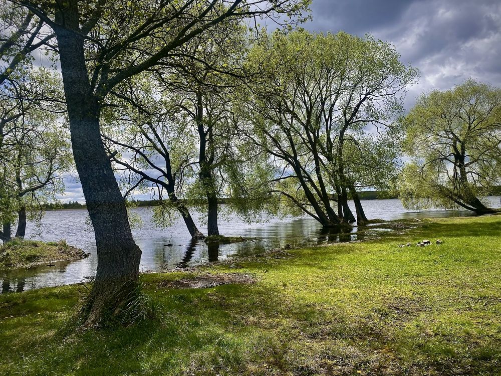 Photograph by Наталья Трусова