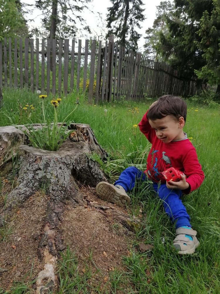 Одуваны, пень и маленький почемучка