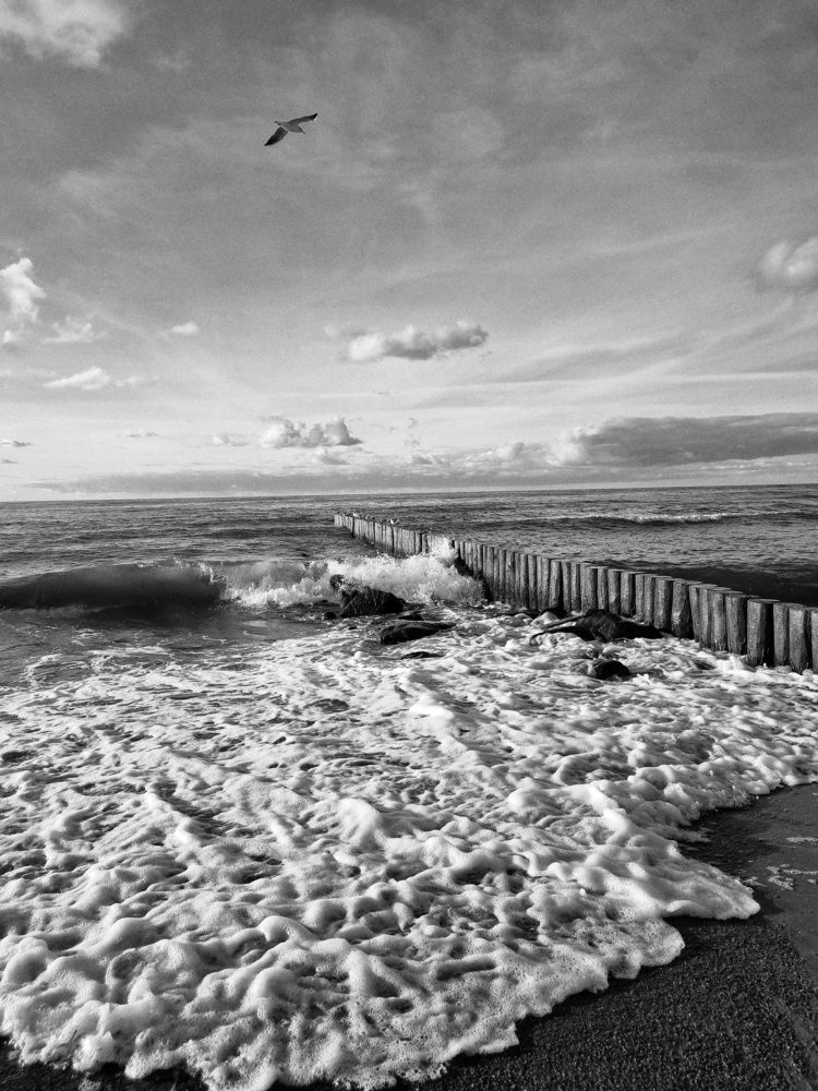 Photograph by Александра Кузнецова