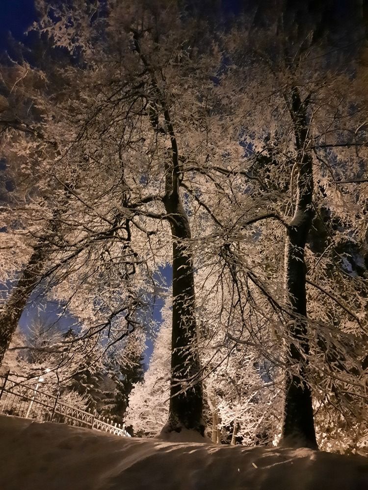 Photograph by Игорь