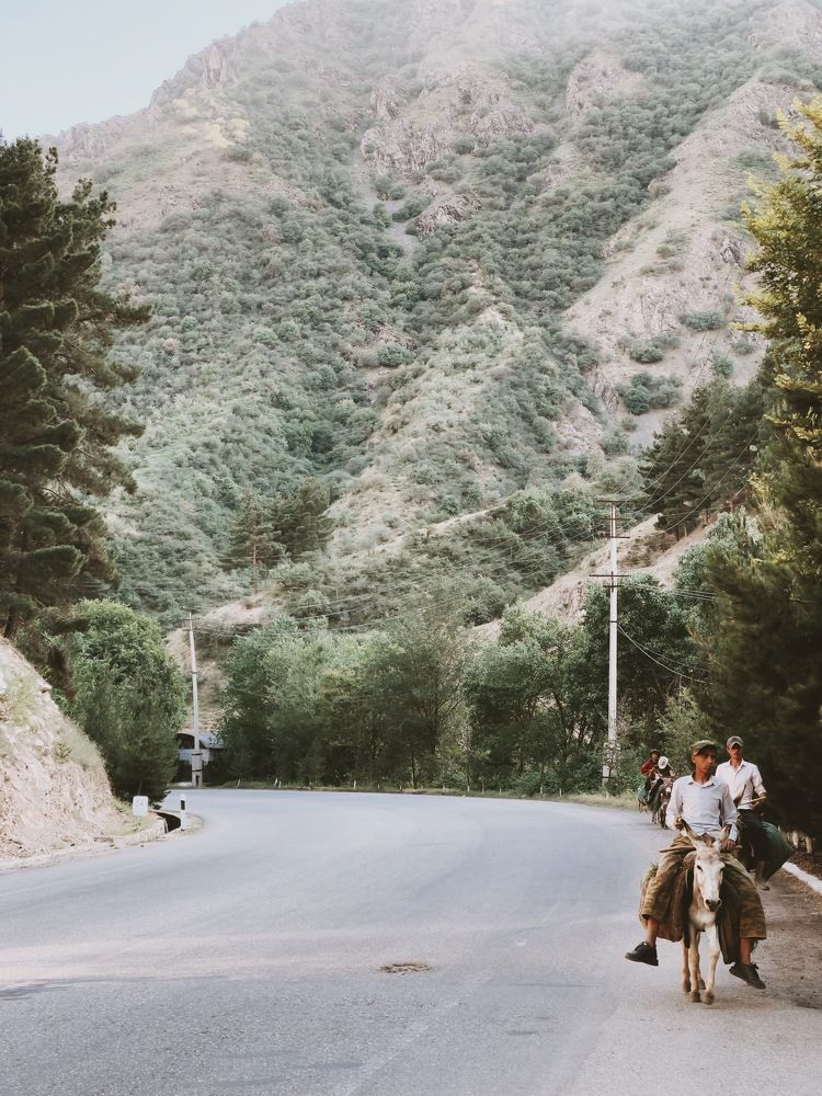 Photograph by Кирилл Талалаев