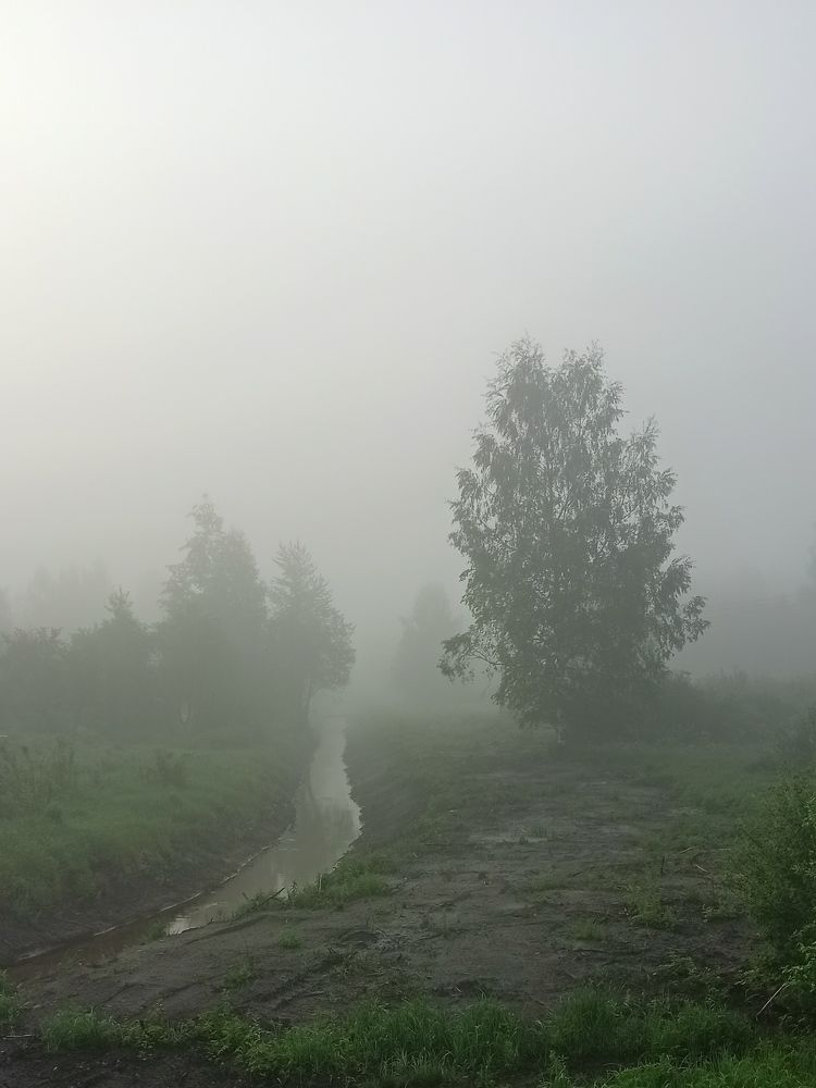 Фотография автора Aлексей Игнатьев