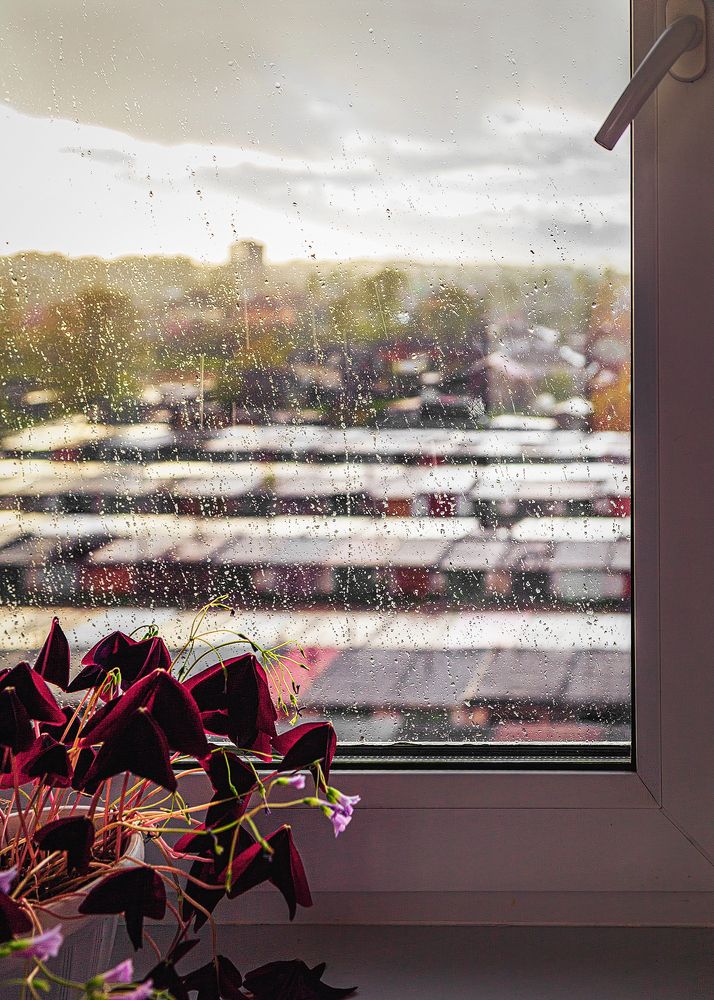 Photograph by Сергей Калинин