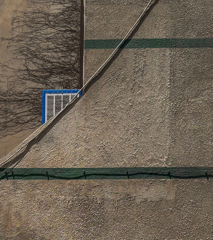 Photograph by Mohammadvahid Nasseri