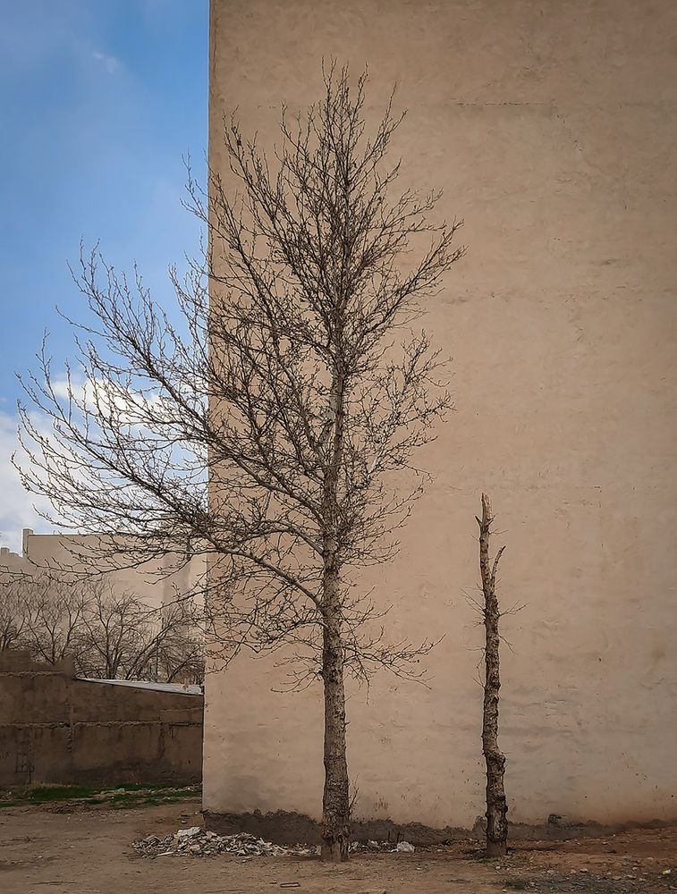 Photograph by Mohammadvahid Nasseri