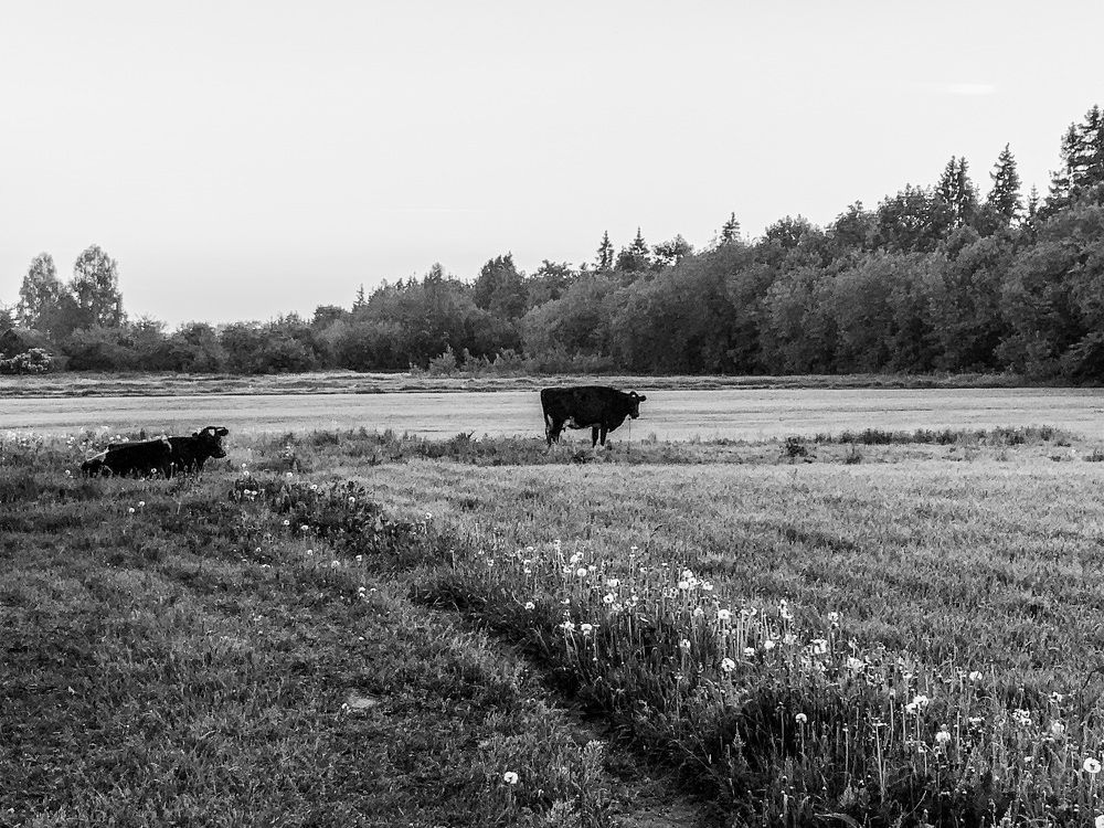 Photograph by Иван Григорьев