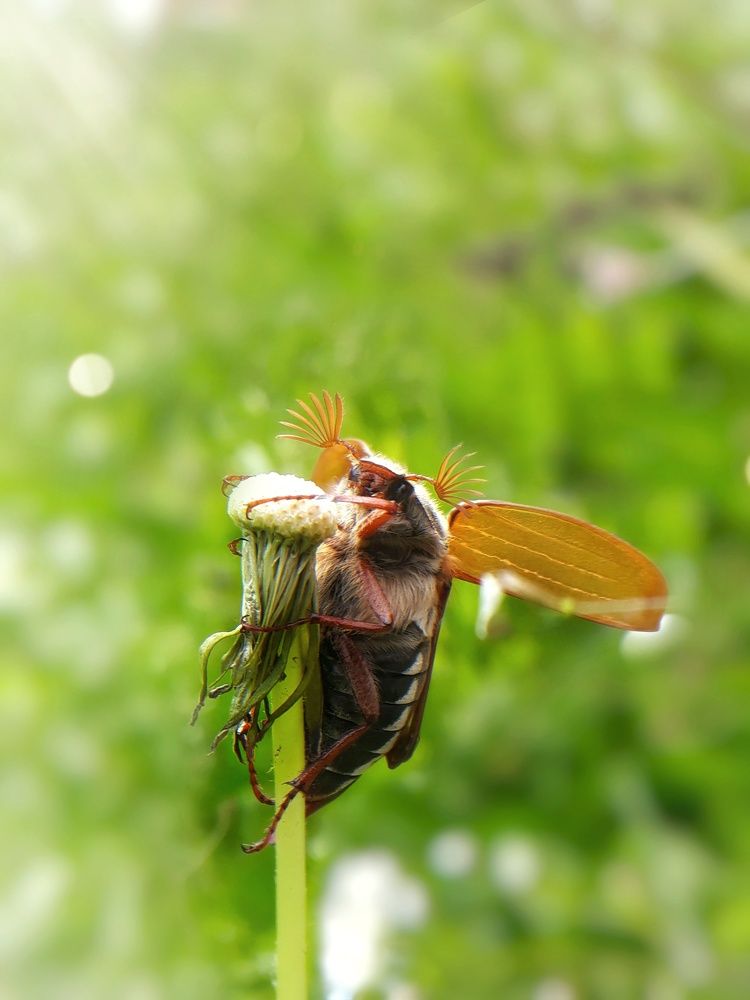 Photograph by Кристина Шляхова