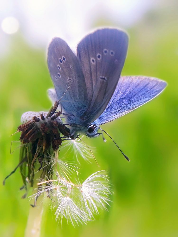 Photograph by Кристина Шляхова