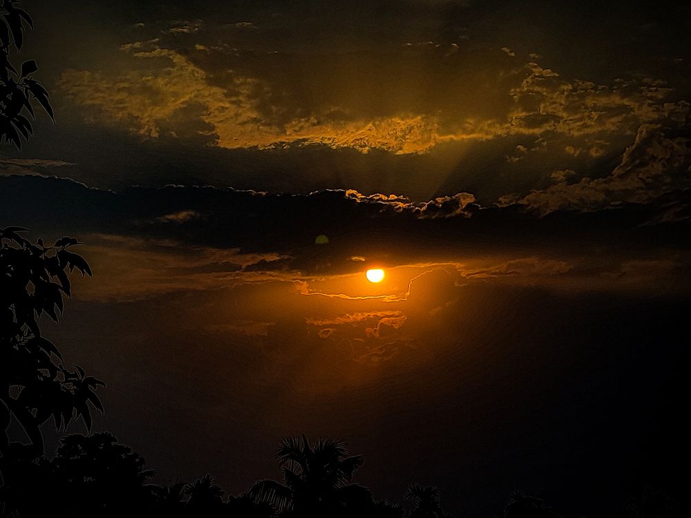Photograph by Ankit Ghosh