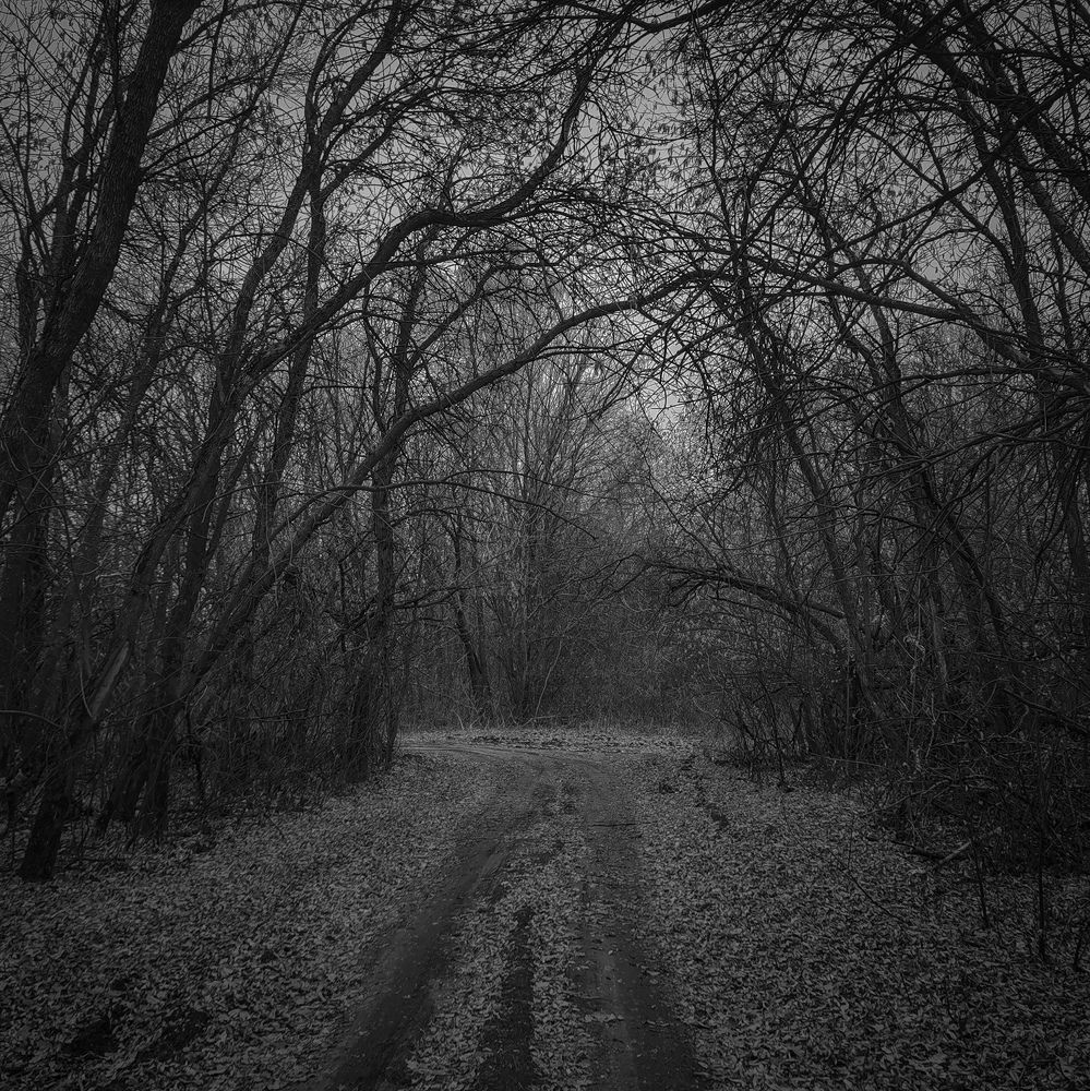 Photograph by Aleksandr777foto