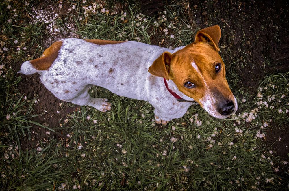 Photograph by Mario Fiorucci