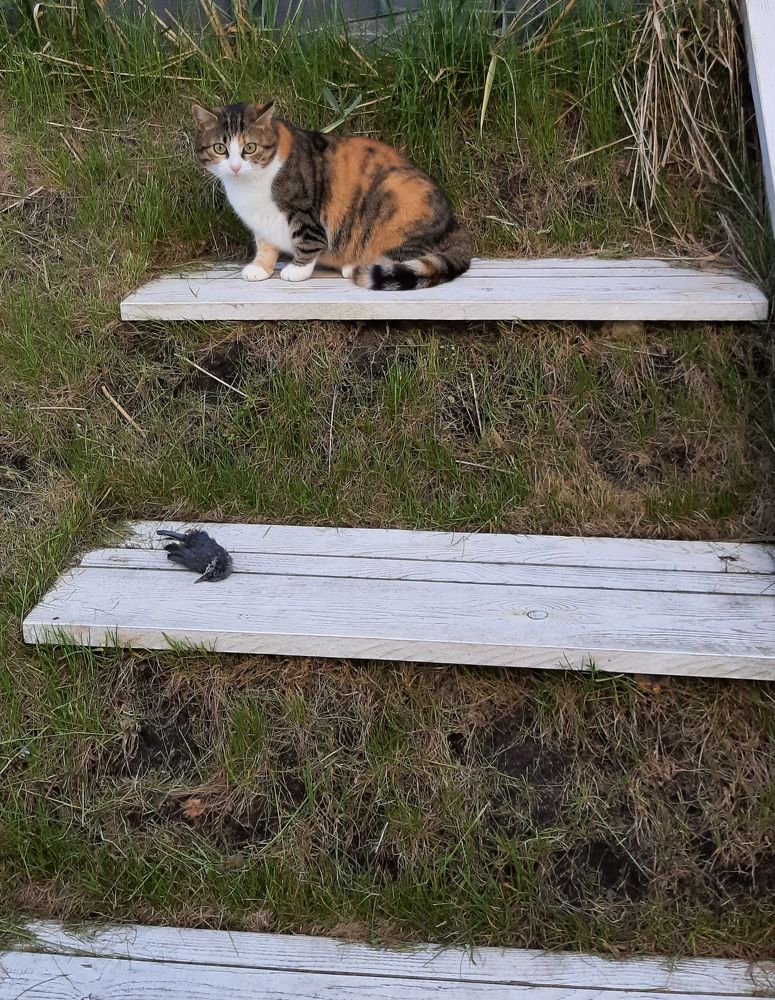 Photograph by Алена Валери